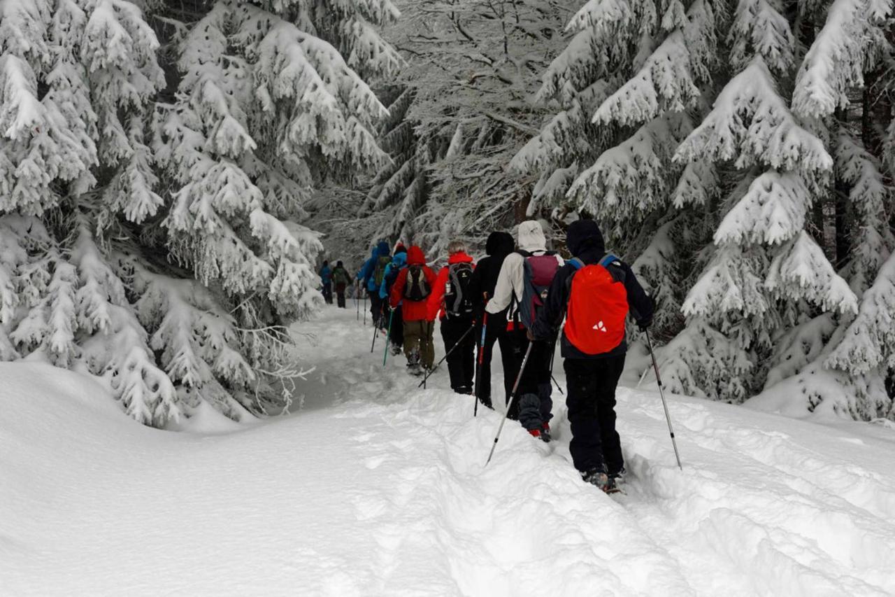 Ferienwohnung Im Landhaus Am Nationalpark Ludwigsthal Εξωτερικό φωτογραφία