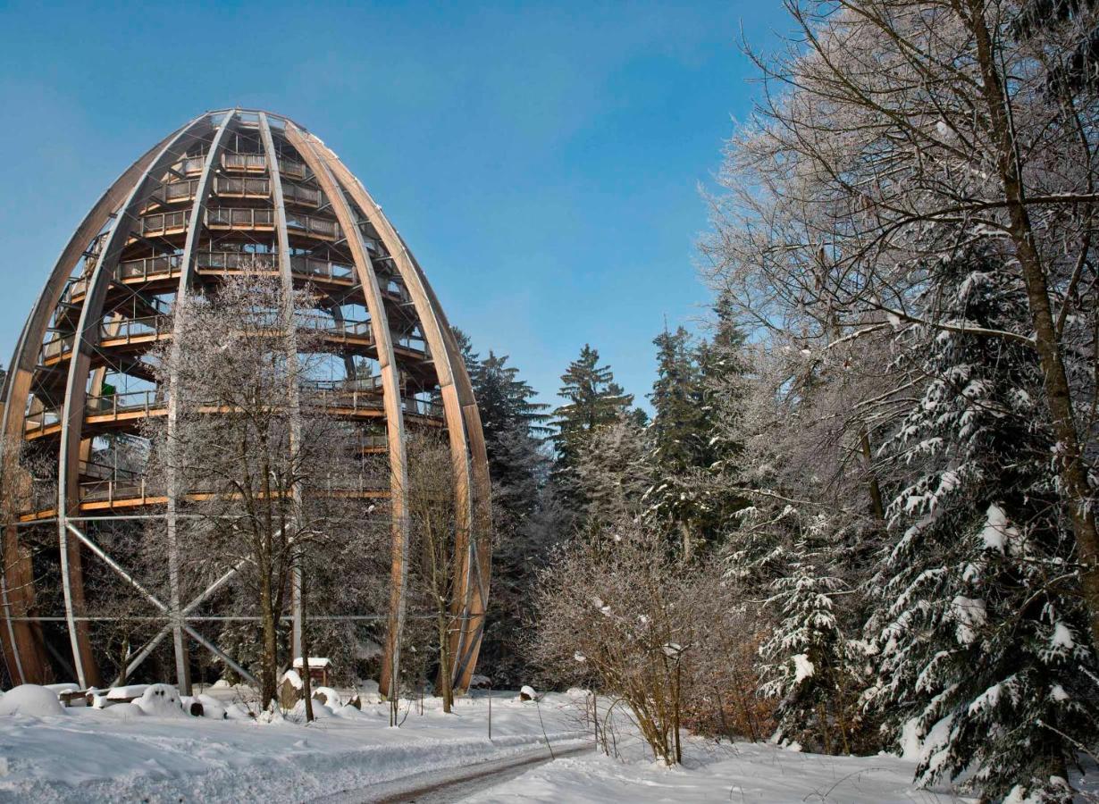 Ferienwohnung Im Landhaus Am Nationalpark Ludwigsthal Εξωτερικό φωτογραφία