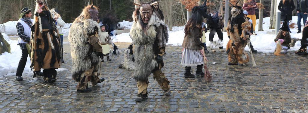 Ferienwohnung Im Landhaus Am Nationalpark Ludwigsthal Εξωτερικό φωτογραφία