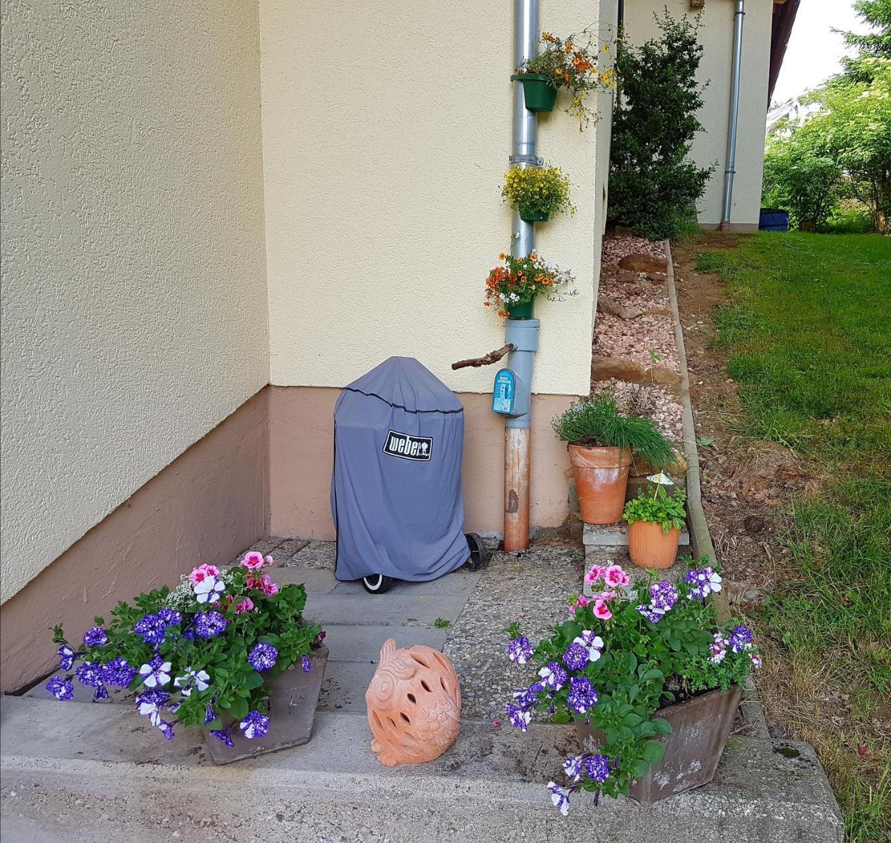 Ferienwohnung Im Landhaus Am Nationalpark Ludwigsthal Εξωτερικό φωτογραφία
